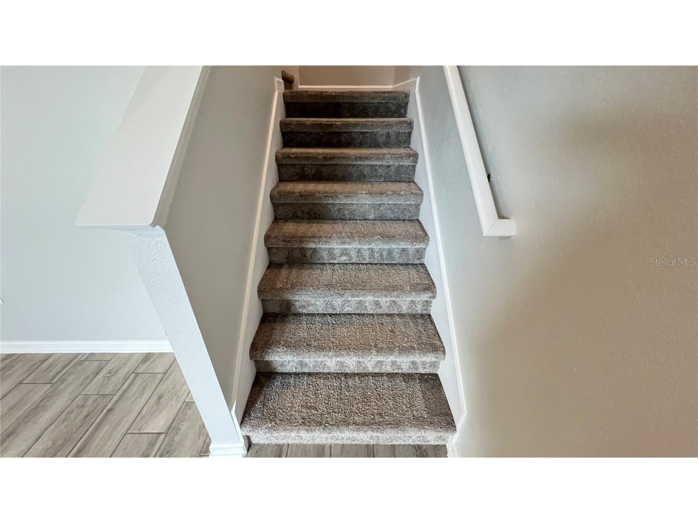 1343 Lassen Street Haines City FL 33844 S5129433 image39