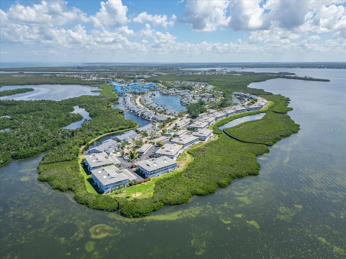 1343 Perico Point Circle #117 Bradenton FL 34209 TB8425916 image60