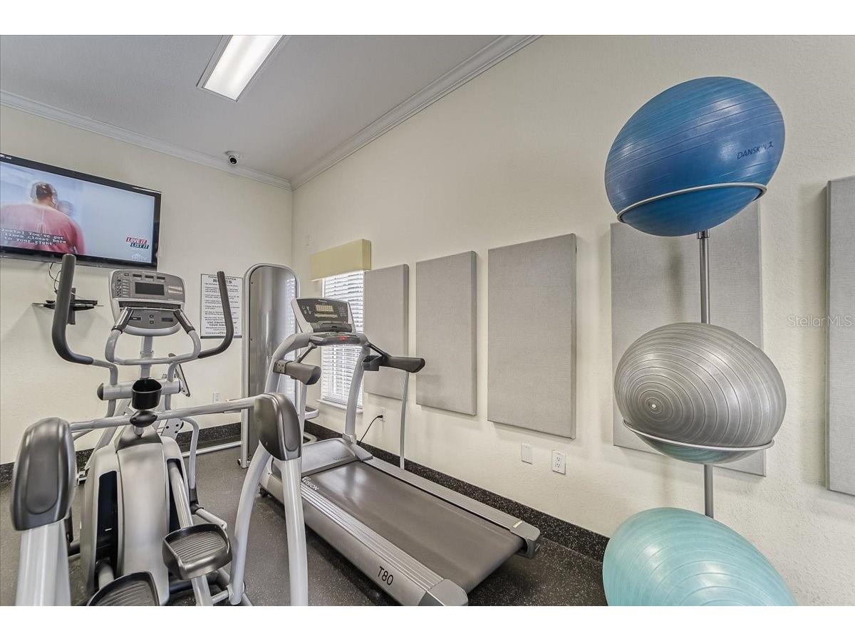 1343 Perico Point Circle #117 Bradenton FL 34209 TB8425916 image87