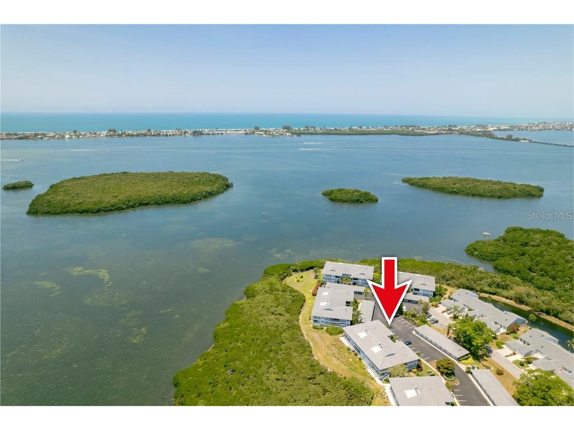 1343 Perico Point Circle #117 Bradenton FL 34209 TB8426273 image6