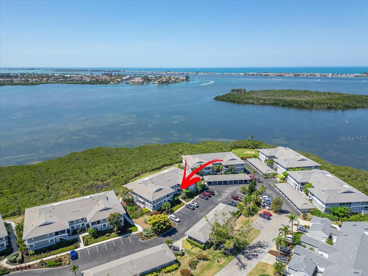 1343 Perico Point Circle #117 Bradenton FL 34209 TB8426273 image64