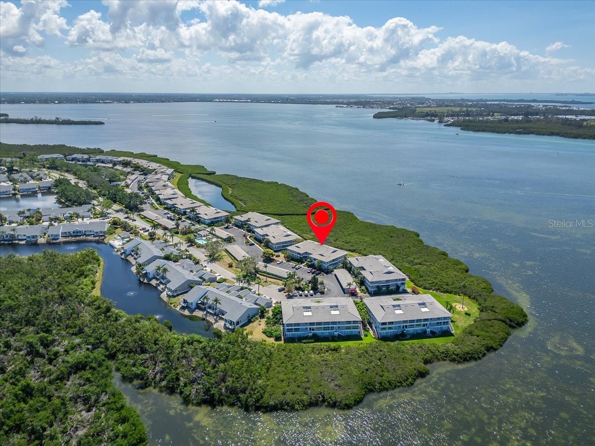 1343 Perico Point Circle #117 Bradenton FL 34209 TB8426273 image68