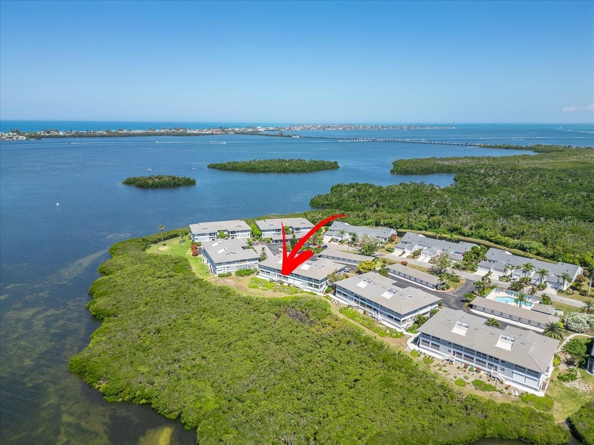 1343 Perico Point Circle #117 Bradenton FL 34209 TB8426273 image71