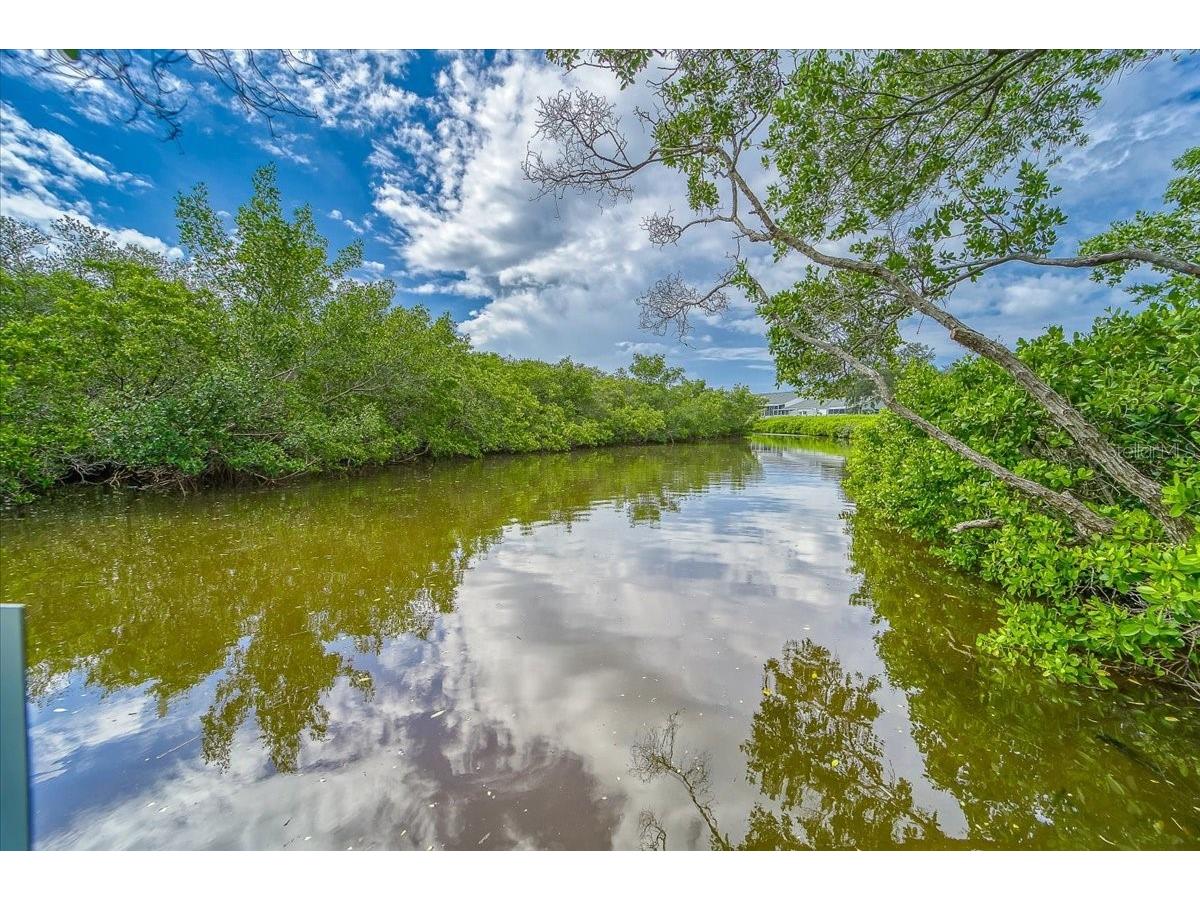 1343 Perico Point Circle #117 Bradenton FL 34209 TB8426273 image94