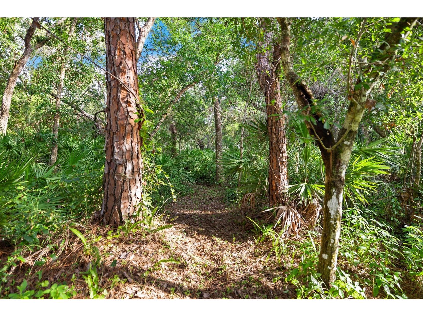 1343 Ranchero Drive Sarasota FL 34240 A4637854 image15