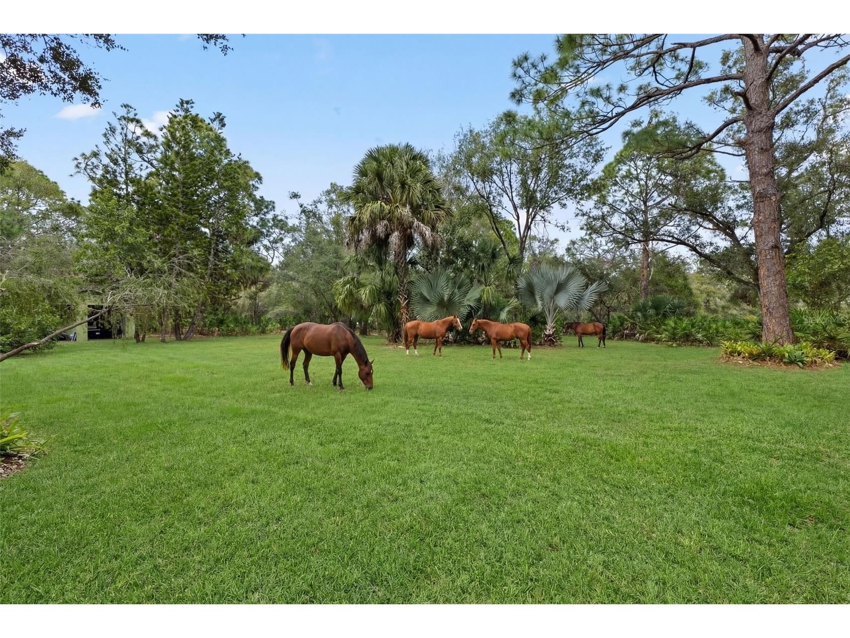 1343 Ranchero Drive Sarasota FL 34240 A4637854 image60