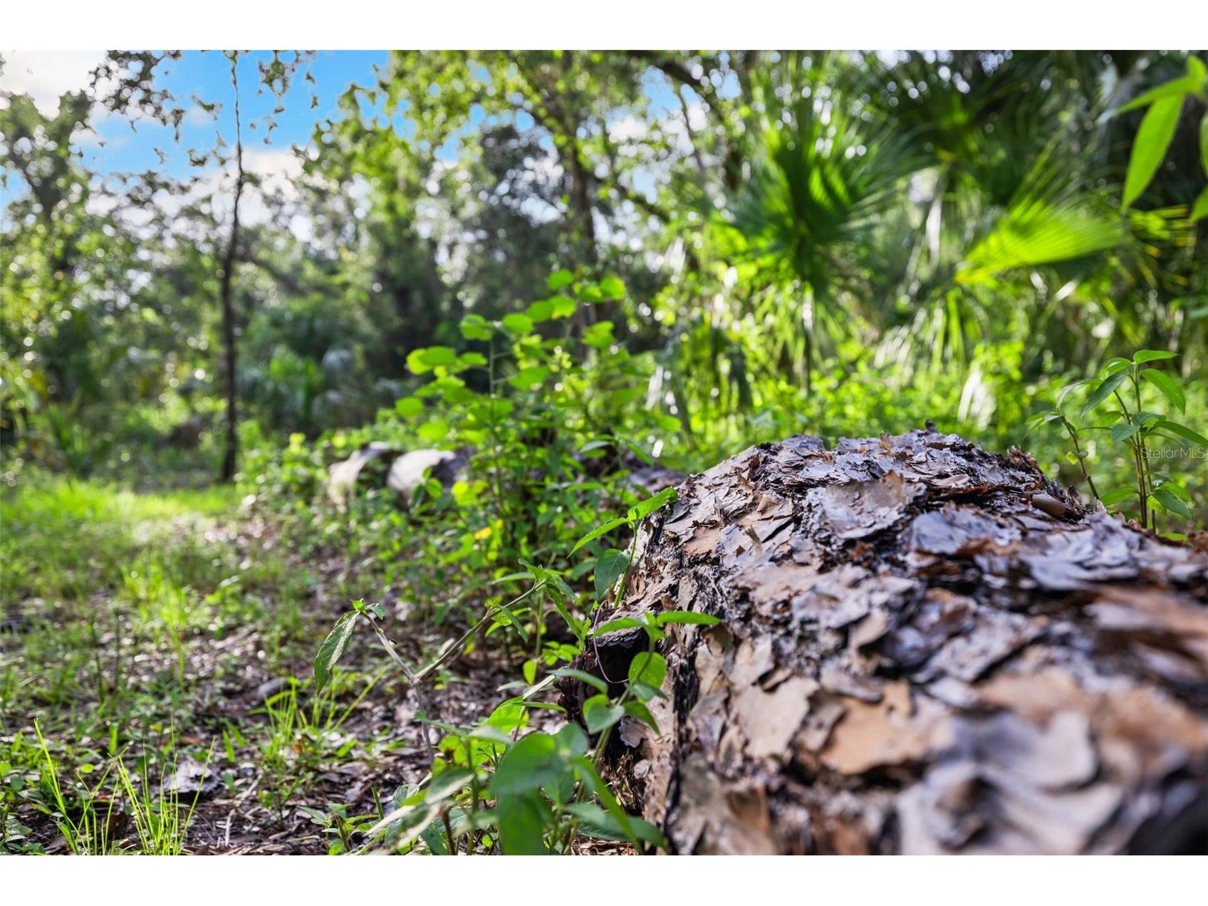 1343 Ranchero Drive Sarasota FL 34240 A4637854 image62