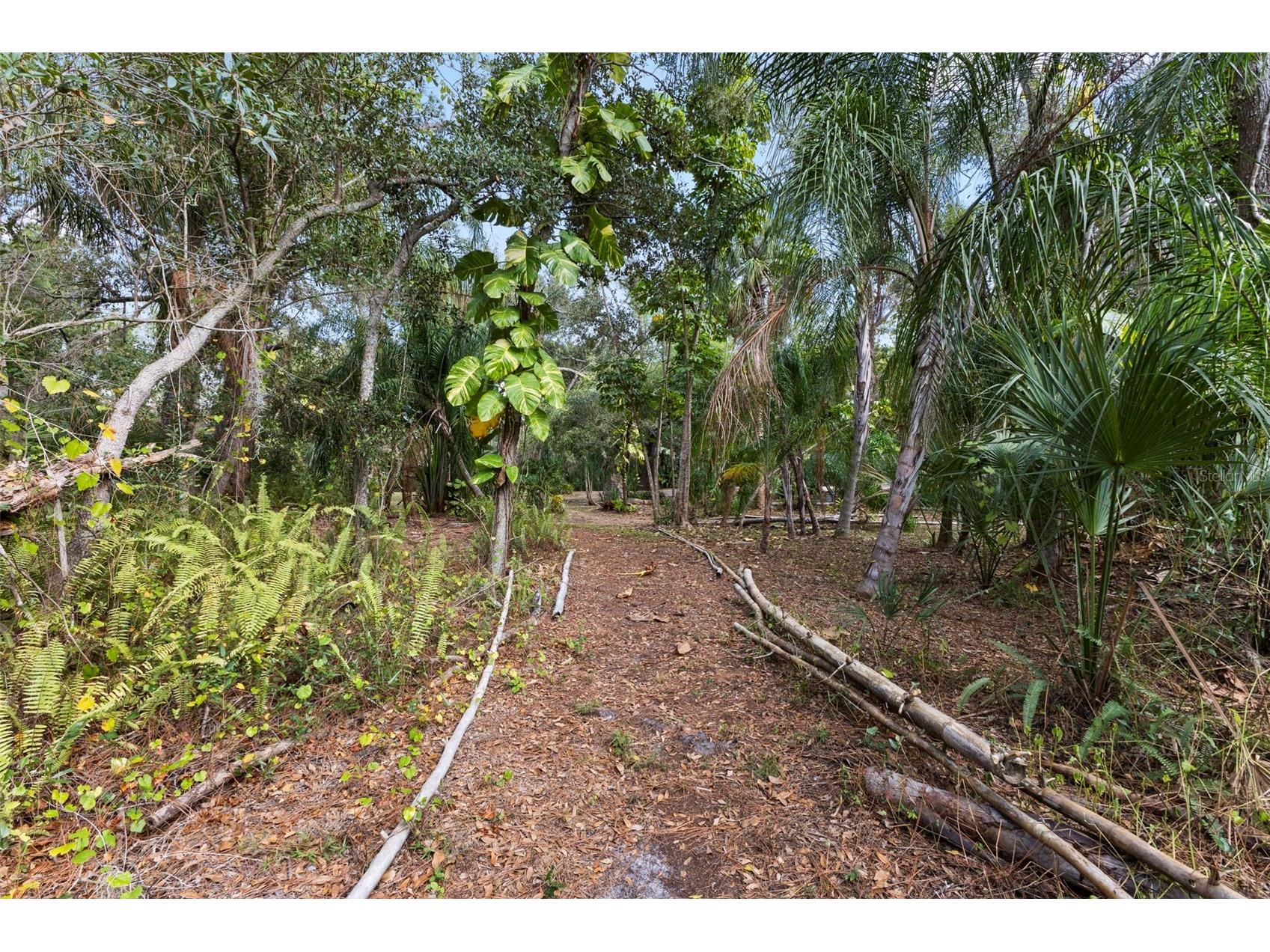 1343 Ranchero Drive Sarasota FL 34240 A4637854 image65