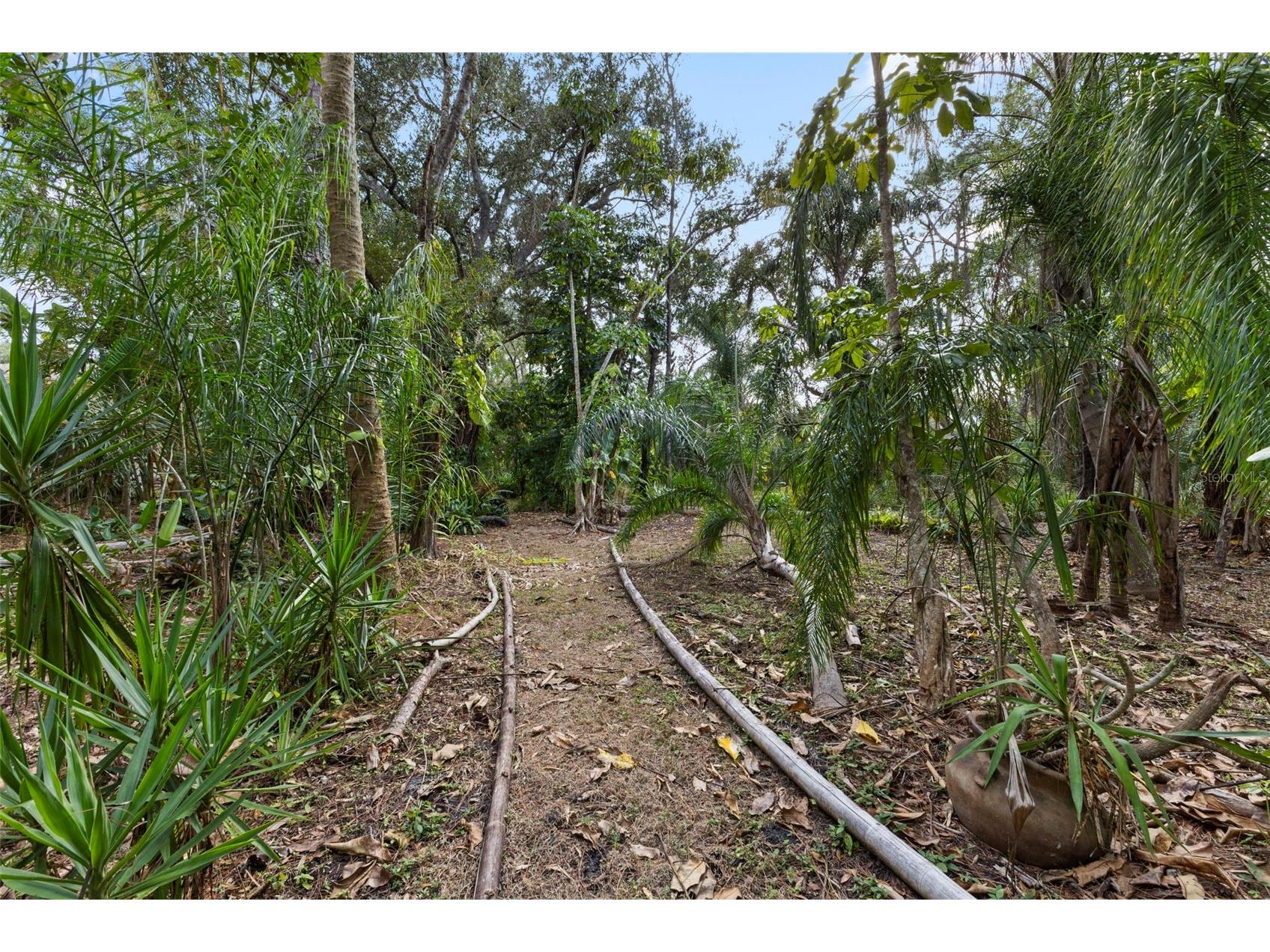 1343 Ranchero Drive Sarasota FL 34240 A4637854 image66