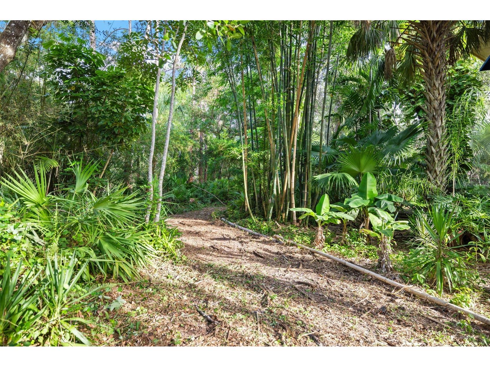 1343 Ranchero Drive Sarasota FL 34240 A4637854 image67