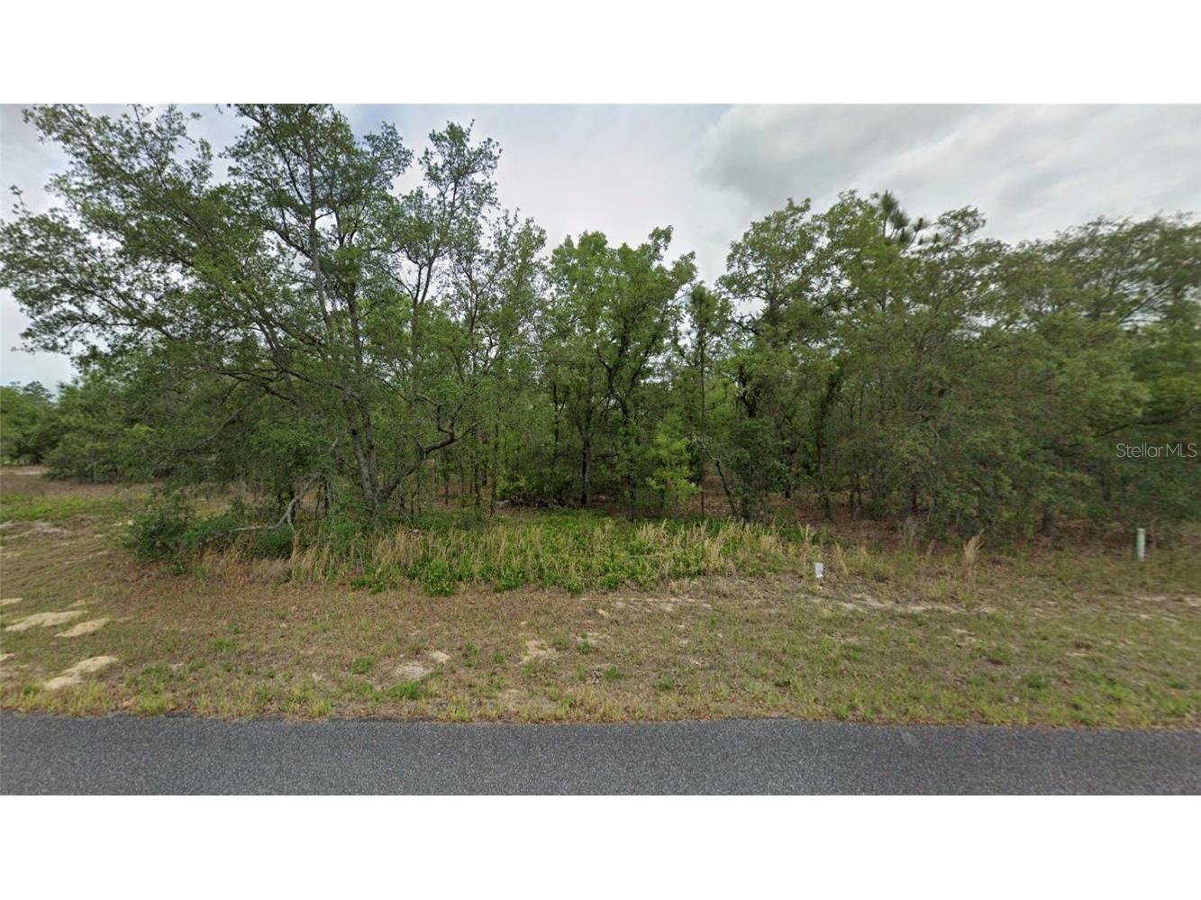 1343 W Dupont Drive Citrus Springs FL 34434 OM694047 image1