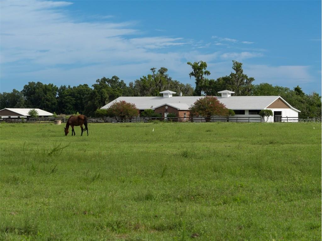 13430 NW Highway 225 Reddick FL 32686 OM682741 image1