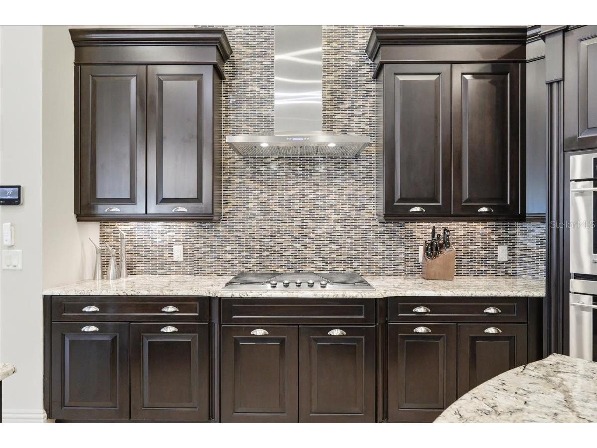 13431 Bellaria Circle Windermere FL 34786 P4939244 image22