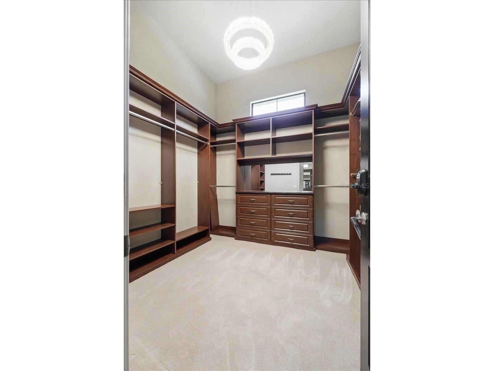 13431 Bellaria Circle Windermere FL 34786 P4939244 image37