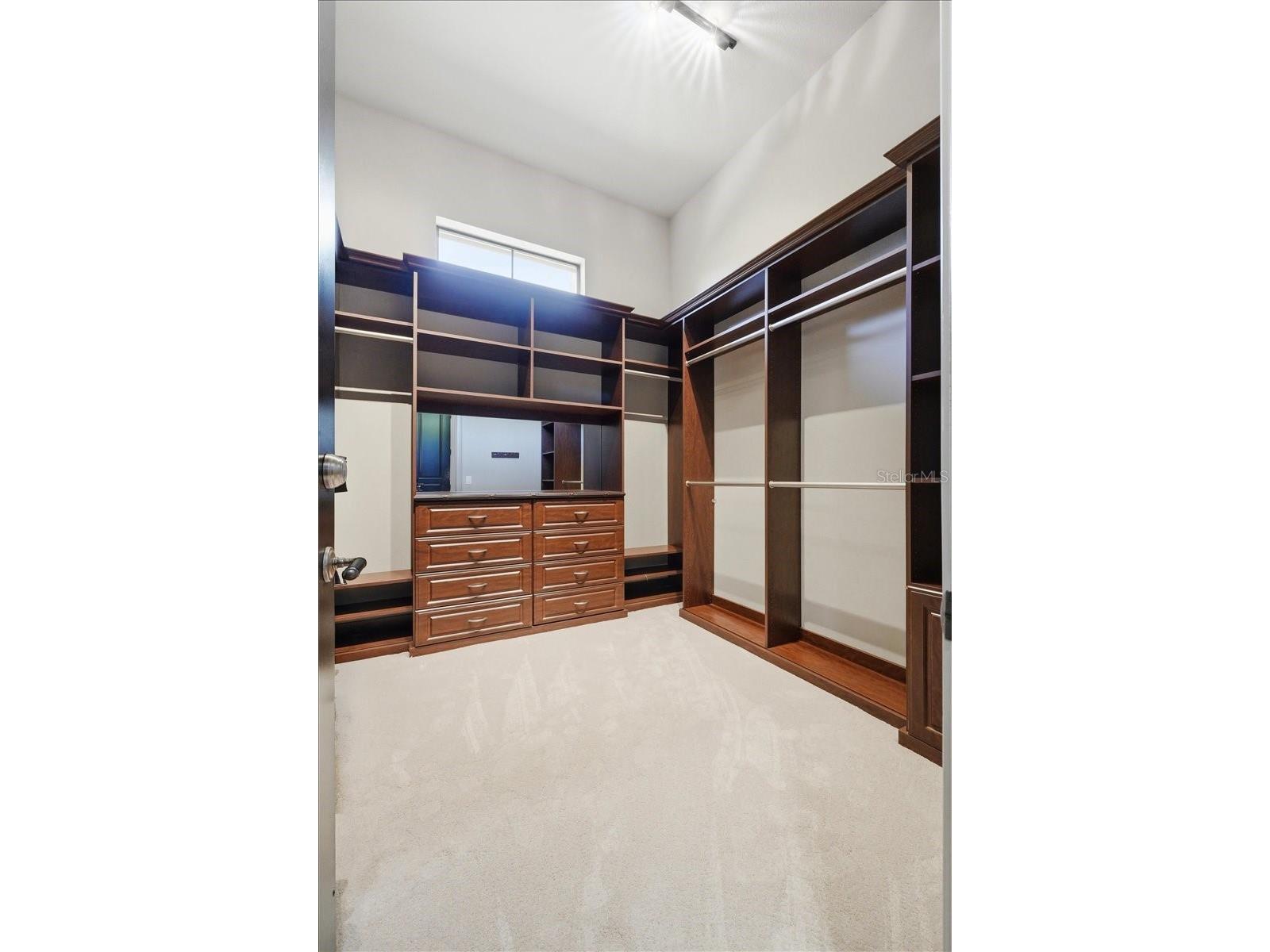 13431 Bellaria Circle Windermere FL 34786 P4939244 image38