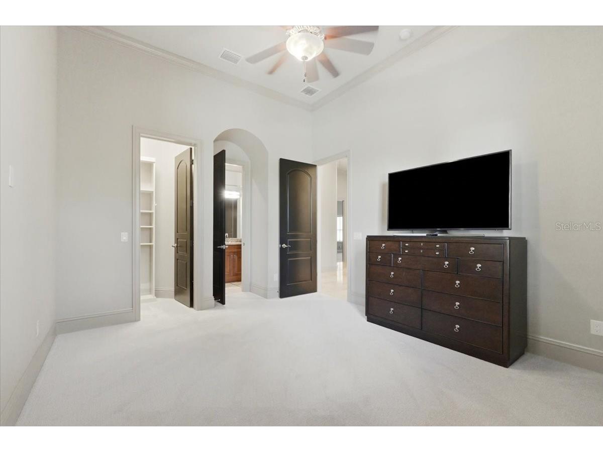 13431 Bellaria Circle Windermere FL 34786 P4939244 image39