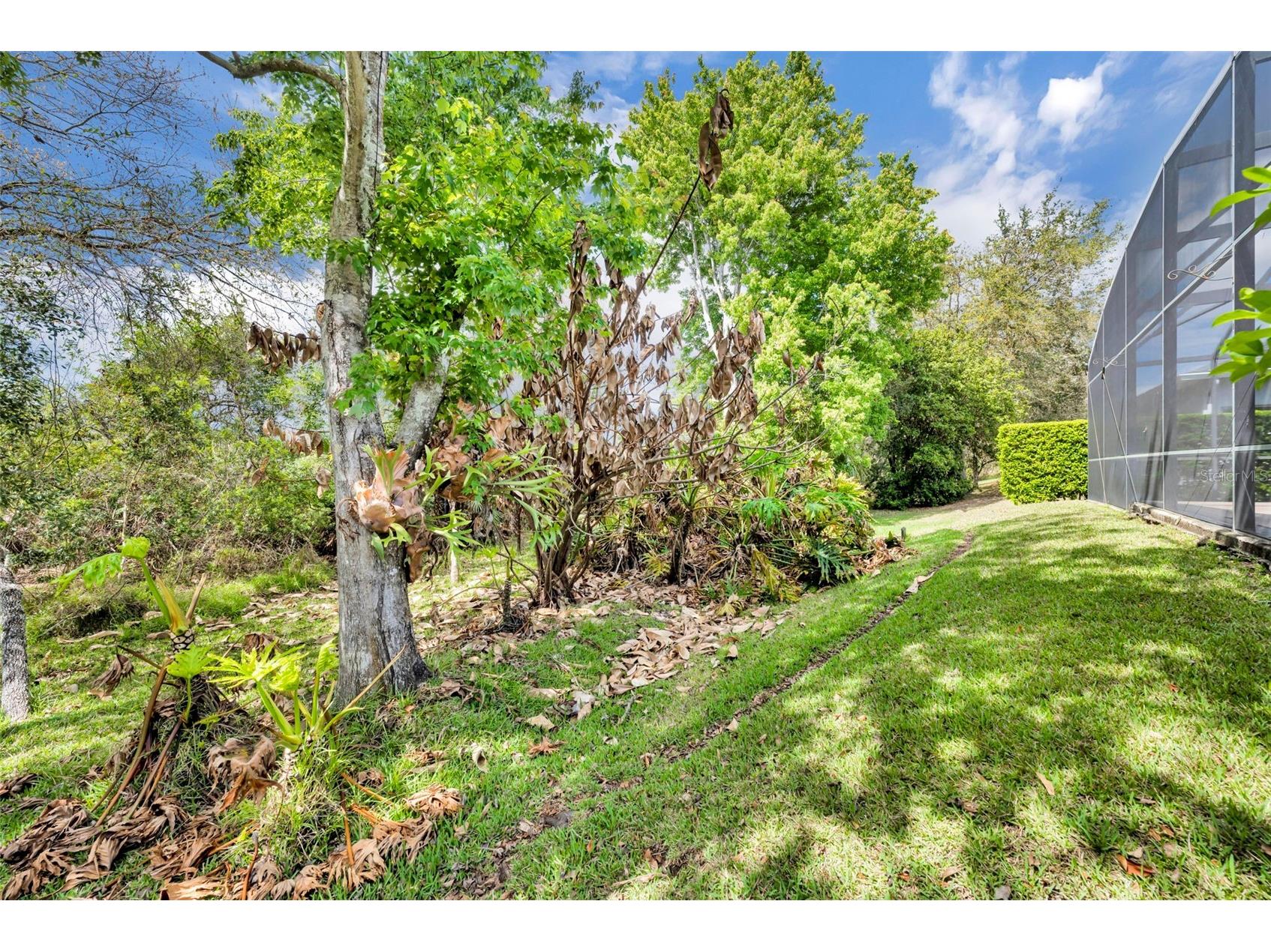 13431 Early Frost Circle Orlando FL 32828 O6389214 image48