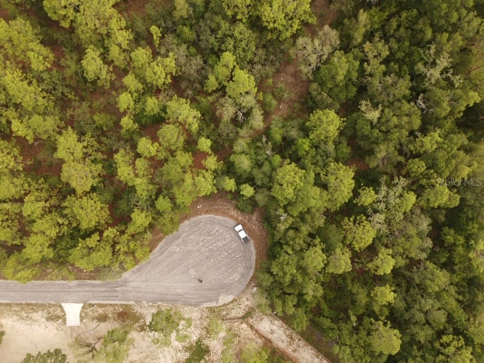 13431 Flagstaff Drive Brooksville FL 34614 TB8392993 image11