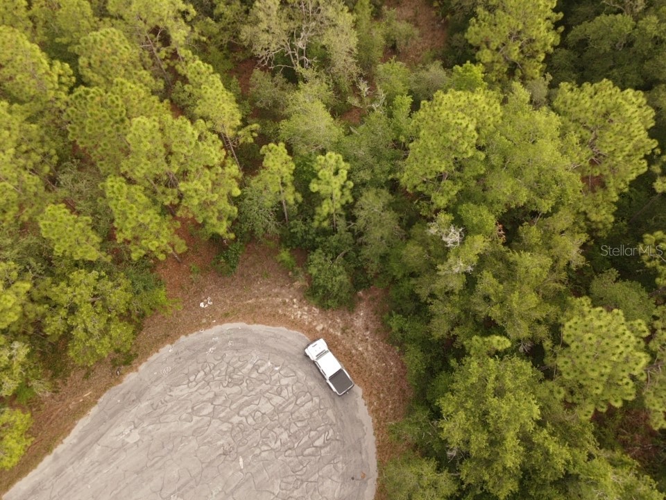 13431 Flagstaff Drive Brooksville FL 34614 TB8392993 image14