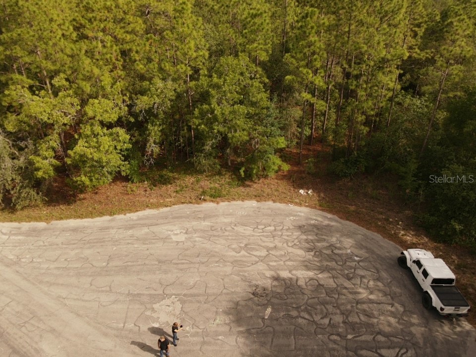 13431 Flagstaff Drive Brooksville FL 34614 TB8392993 image17