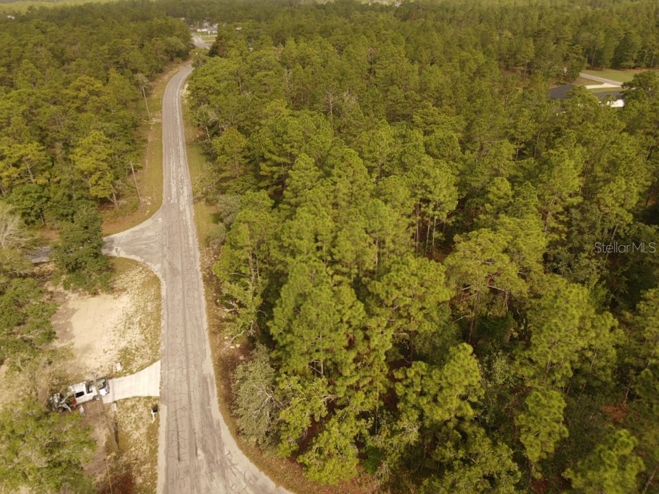 13431 Flagstaff Drive Brooksville FL 34614 TB8392993 image20