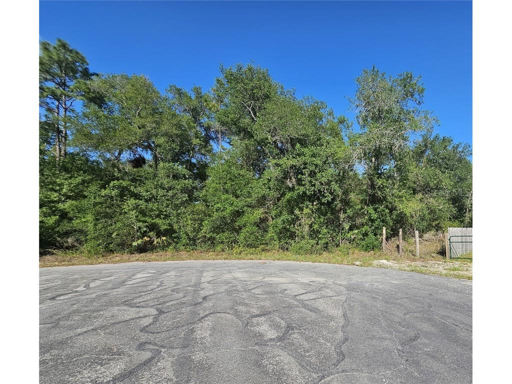 13431 Flagstaff Drive Brooksville FL 34614 TB8392993 image3