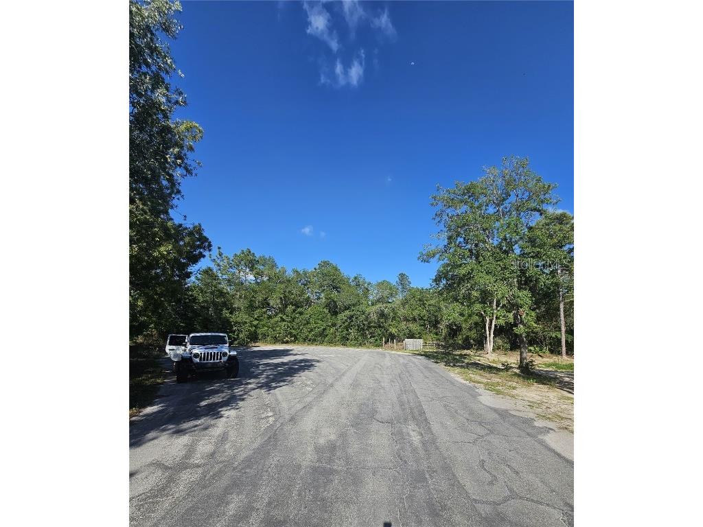 13431 Flagstaff Drive Brooksville FL 34614 TB8392993 image6