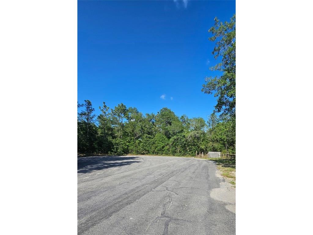 13431 Flagstaff Drive Brooksville FL 34614 TB8392993 image7