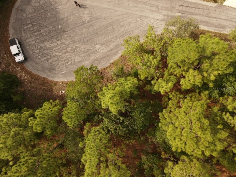 13431 Flagstaff Drive Brooksville FL 34614 TB8392993 image8