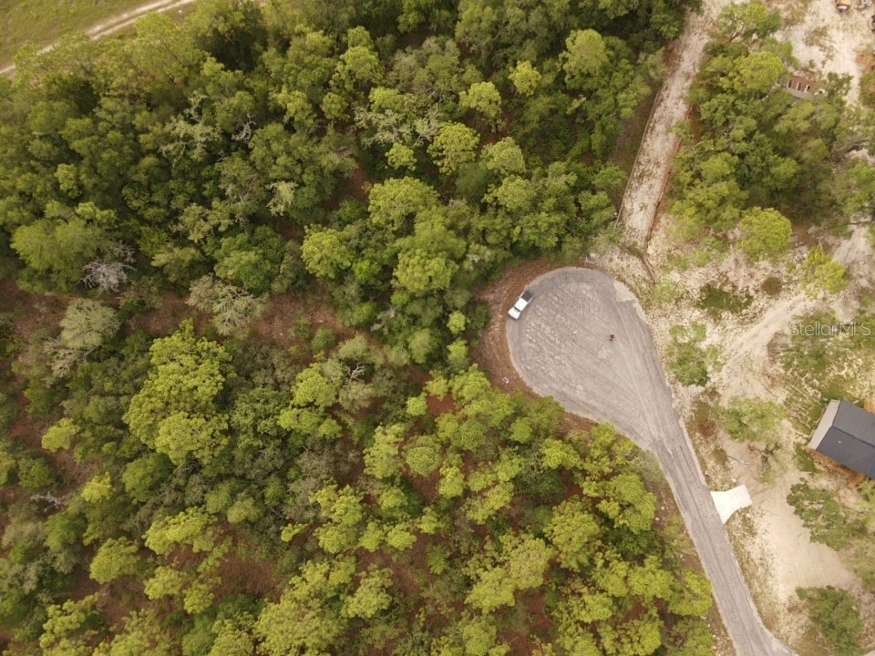 13431 Flagstaff Drive Brooksville FL 34614 TB8392993 image9