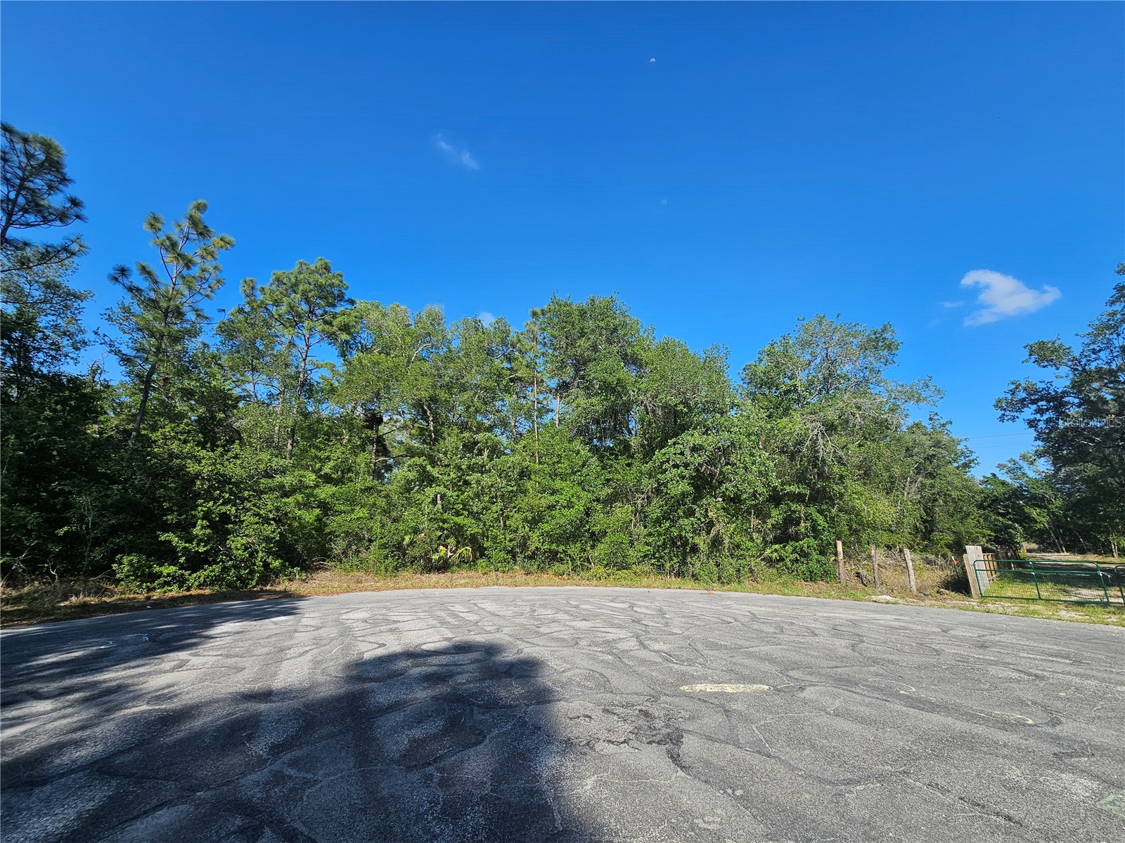 13431 Flagstaff Drive Brooksville FL 34614 TB8482195 image1