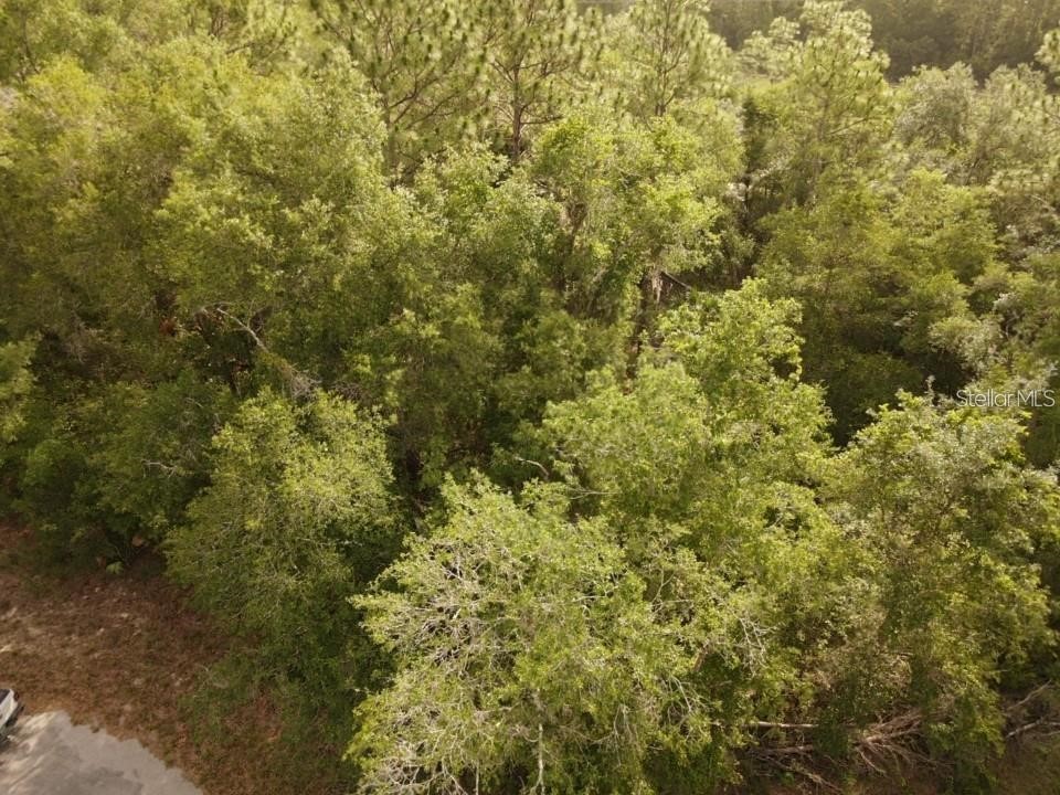 13431 Flagstaff Drive Brooksville FL 34614 TB8482195 image11