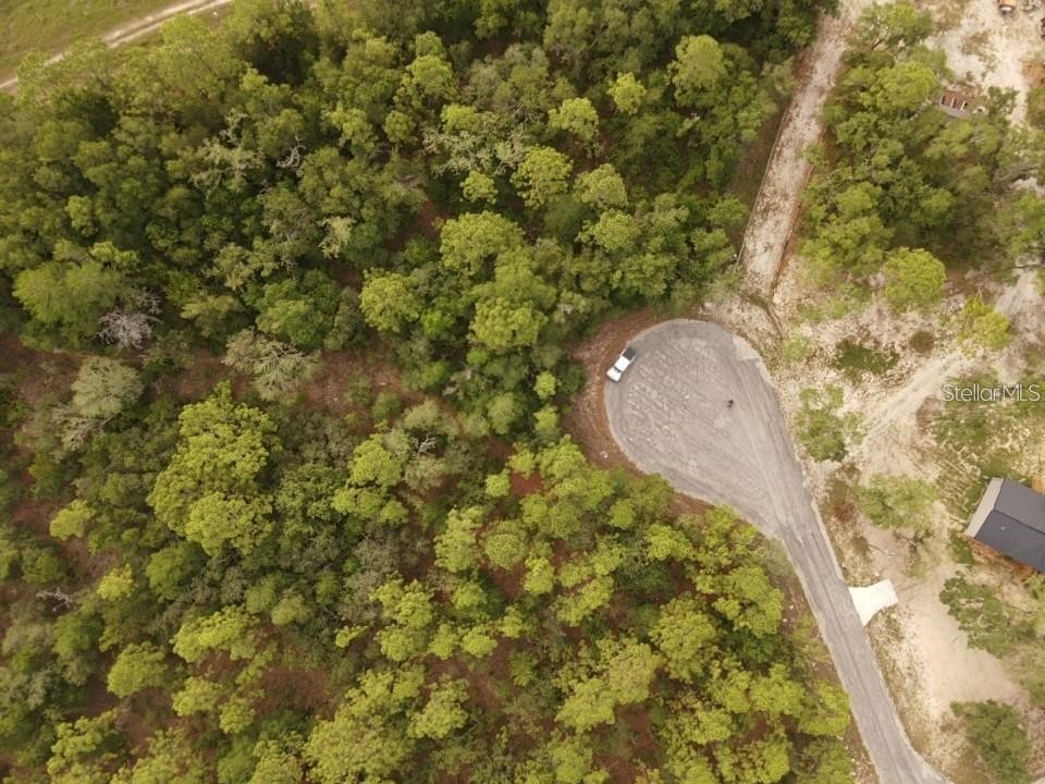 13431 Flagstaff Drive Brooksville FL 34614 TB8482195 image16