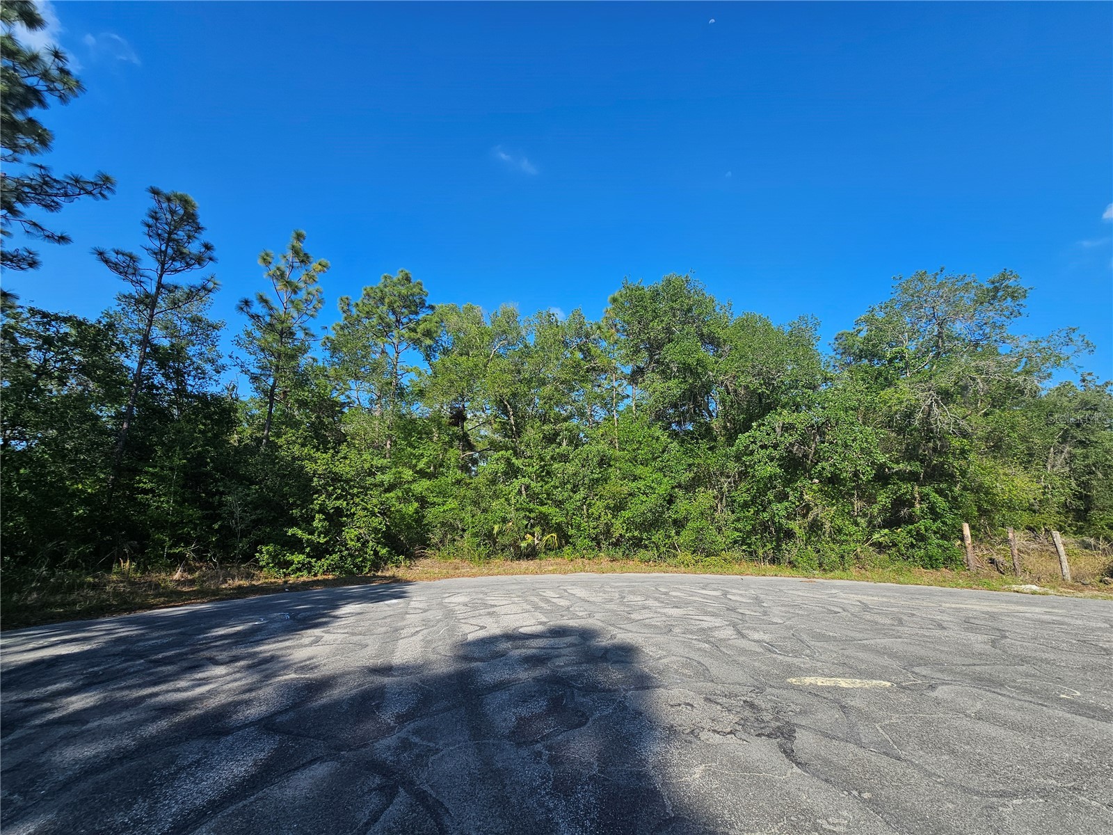 13431 Flagstaff Drive Brooksville FL 34614 TB8482195 image2