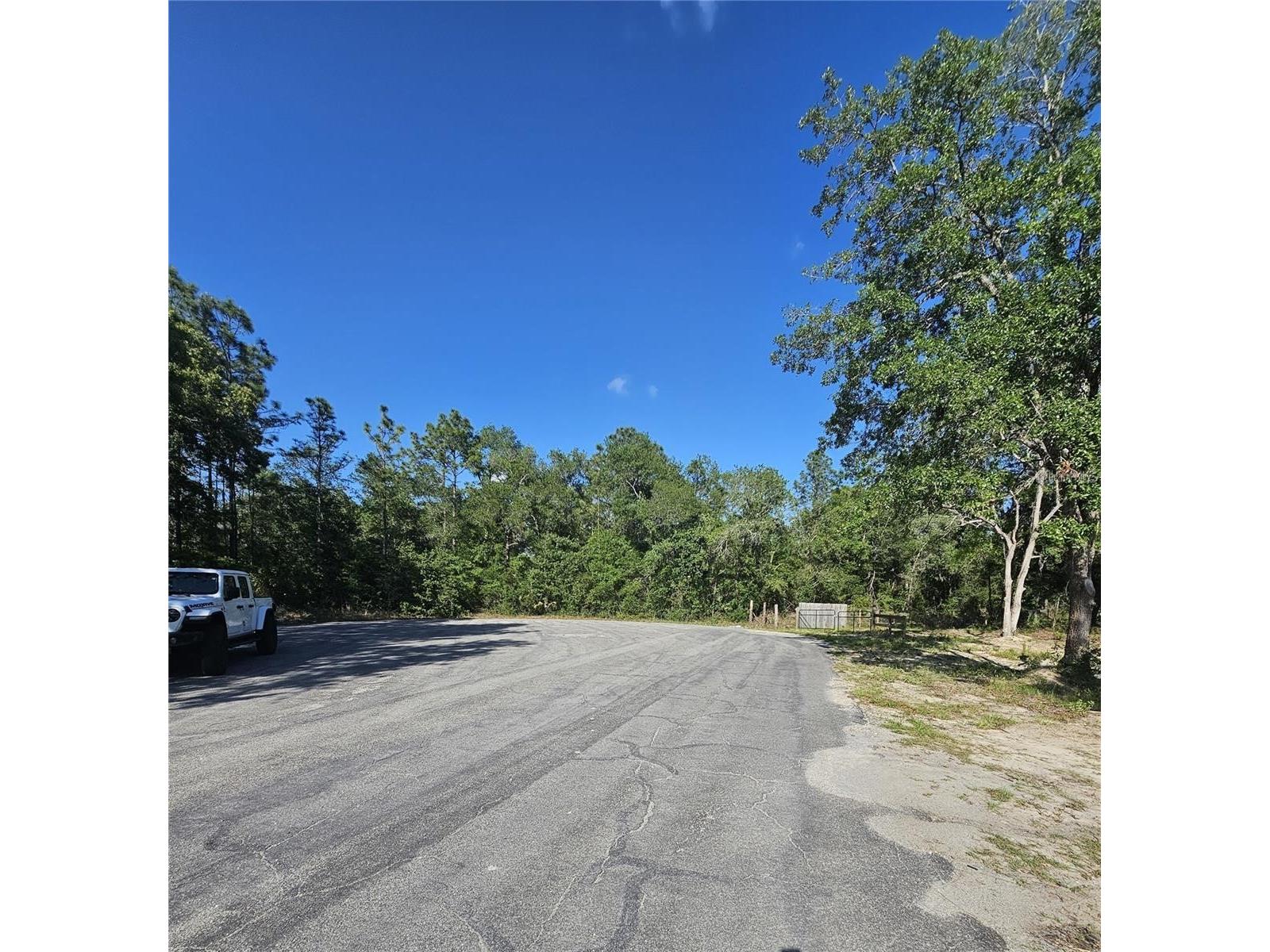 13431 Flagstaff Drive Brooksville FL 34614 TB8482195 image21