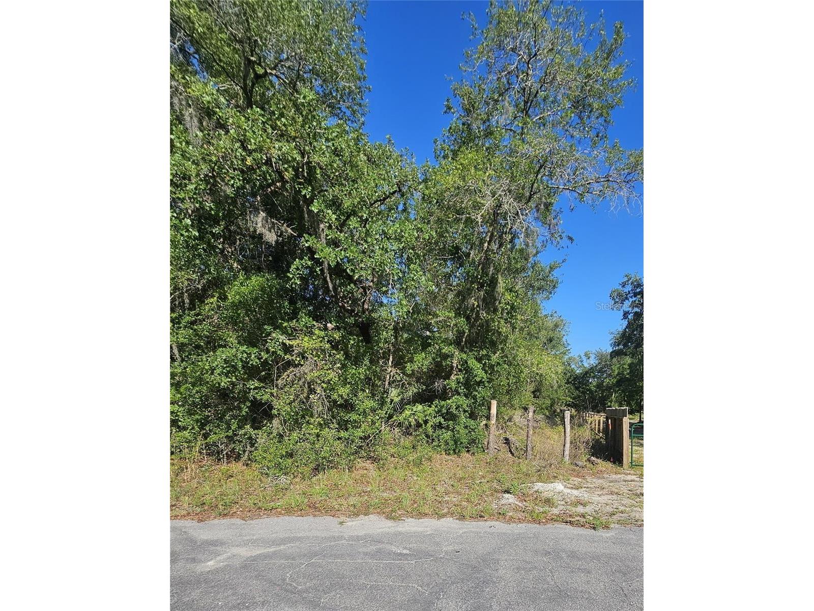 13431 Flagstaff Drive Brooksville FL 34614 TB8482195 image22
