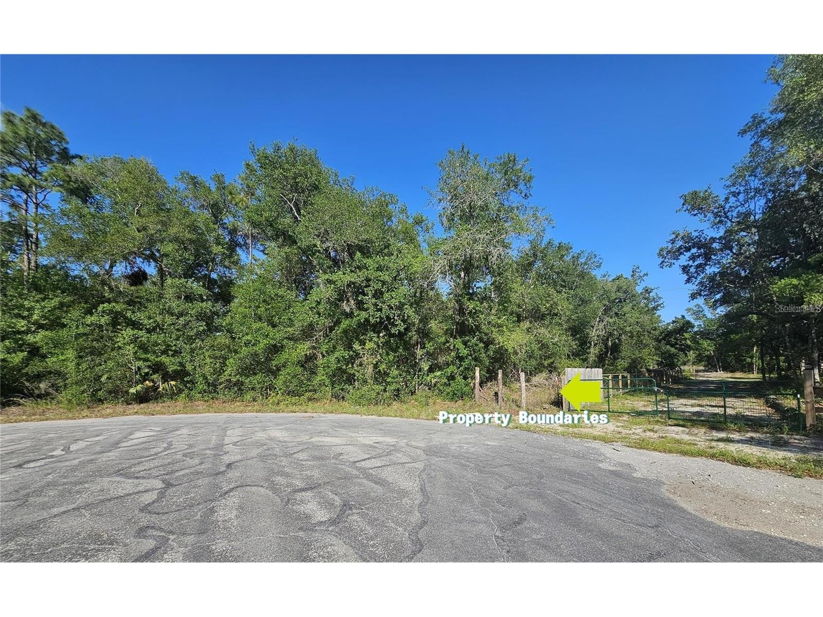 13431 Flagstaff Drive Brooksville FL 34614 TB8482195 image3