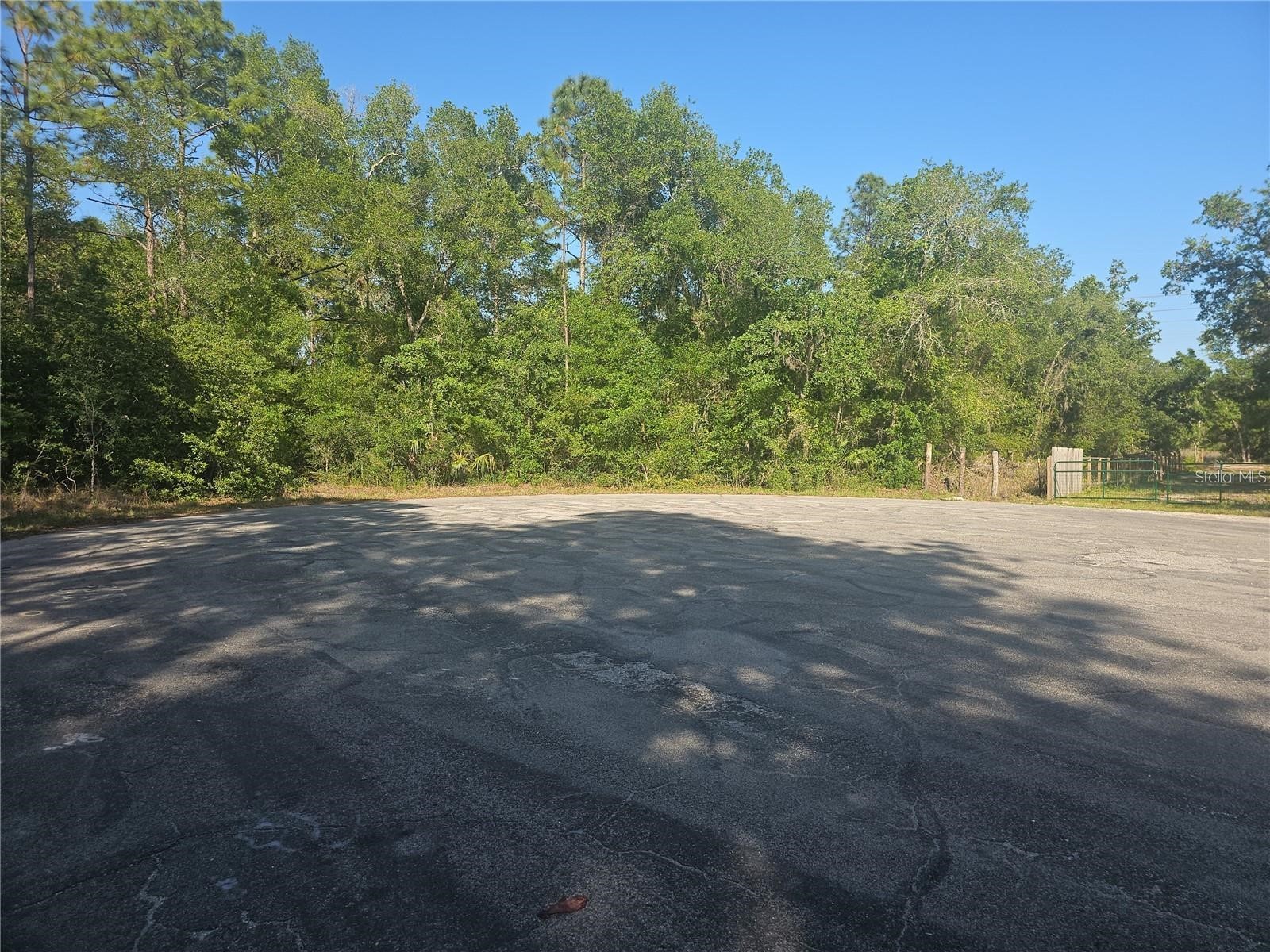 13431 Flagstaff Drive Brooksville FL 34614 TB8482195 image4