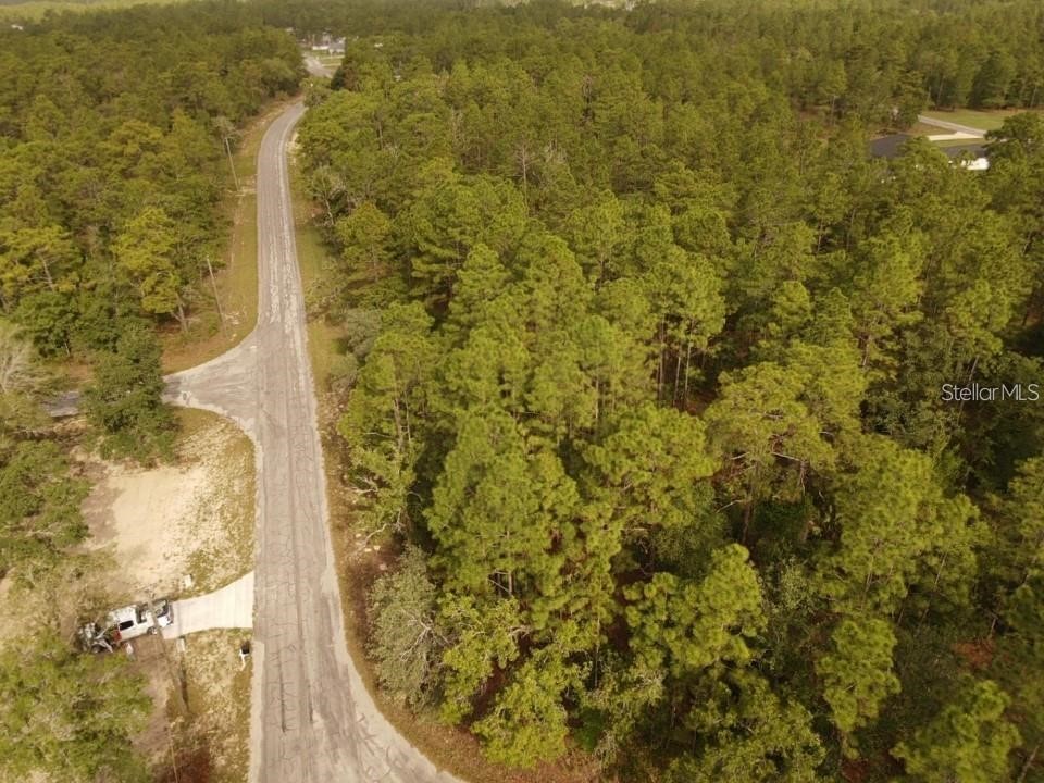 13431 Flagstaff Drive Brooksville FL 34614 TB8482195 image6