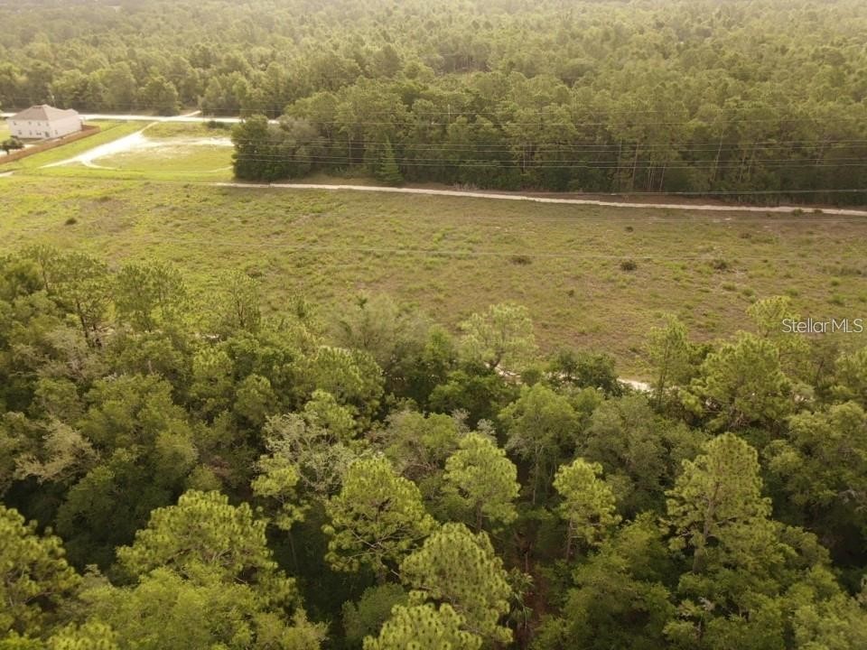 13431 Flagstaff Drive Brooksville FL 34614 TB8482195 image7