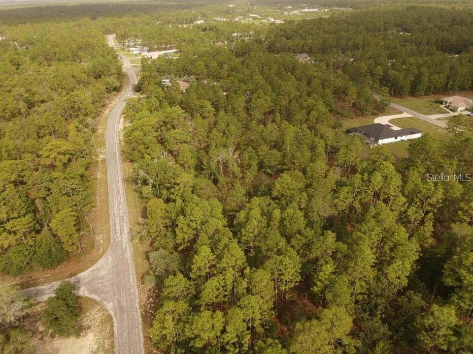 13431 Flagstaff Drive Brooksville FL 34614 TB8482195 image8