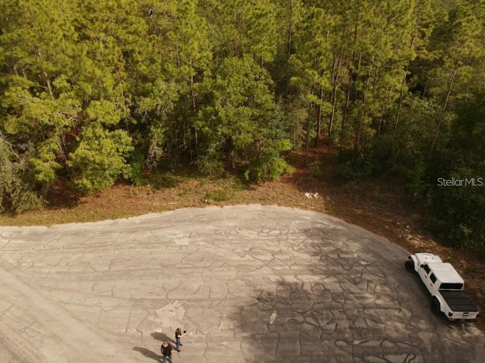 13431 Flagstaff Drive Brooksville FL 34614 TB8482195 image9