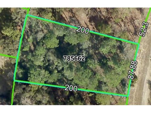 13439 Cormorant Road Brooksville FL 34614 W7875144 image1