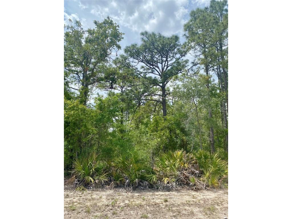 13439 Cormorant Road Brooksville FL 34614 W7875144 image2