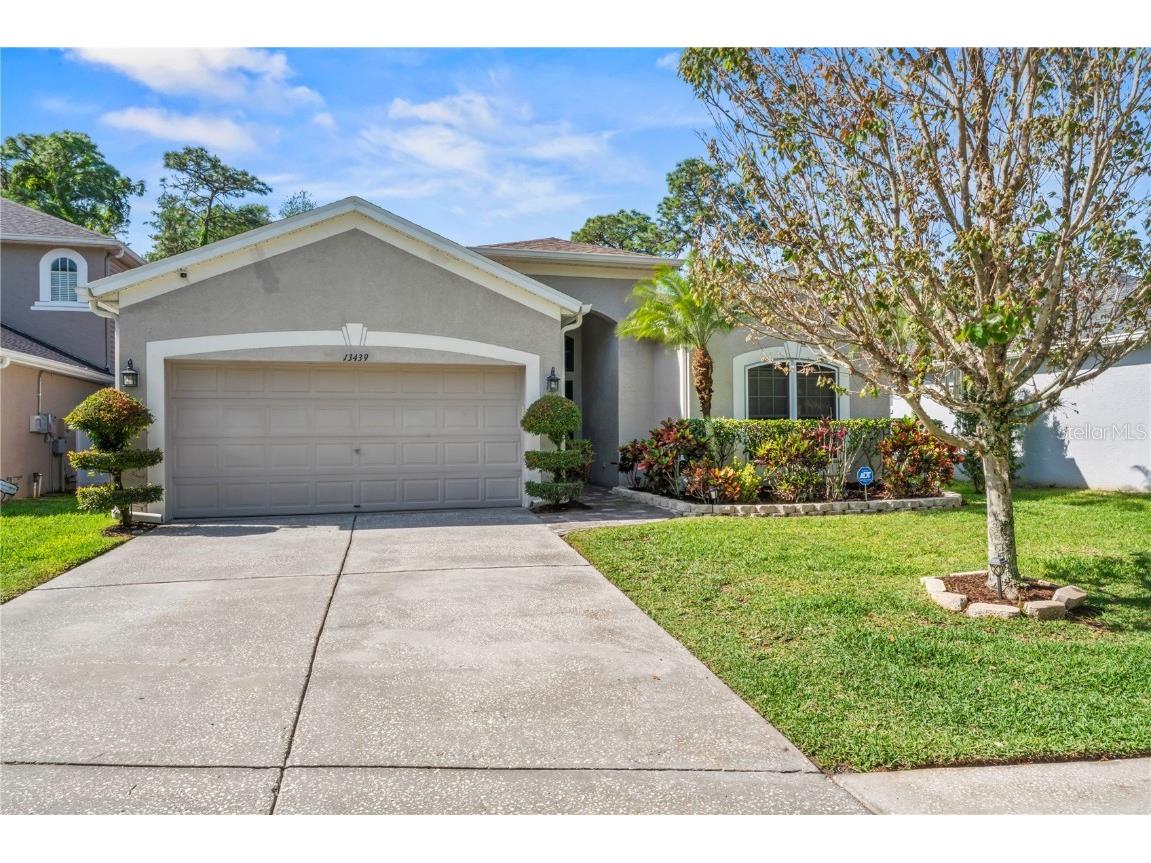 13439 Staghorn Road Tampa FL 33626 T3515235 image1
