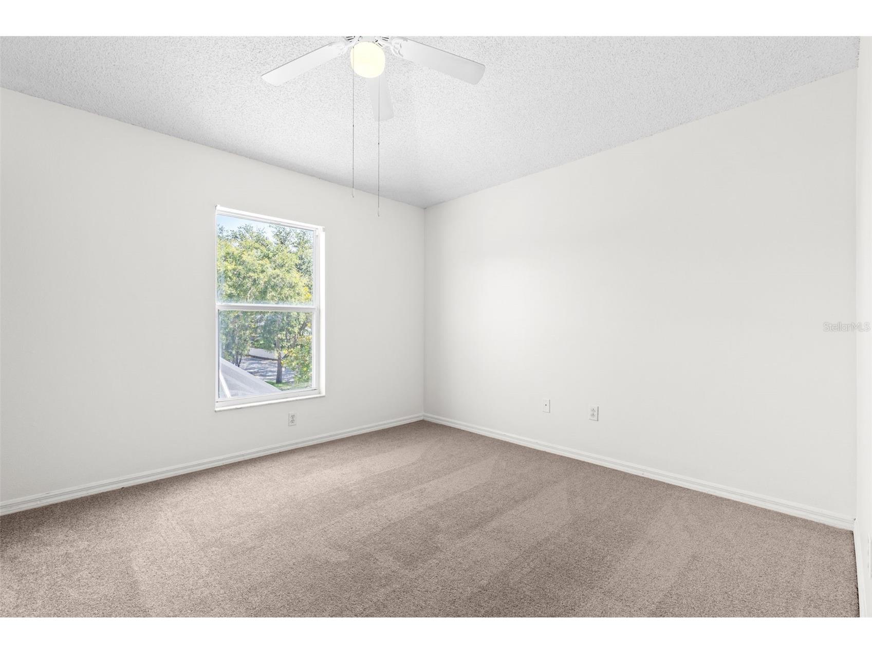 13439 White Elk Loop Tampa FL 33626 TB8524333 image20