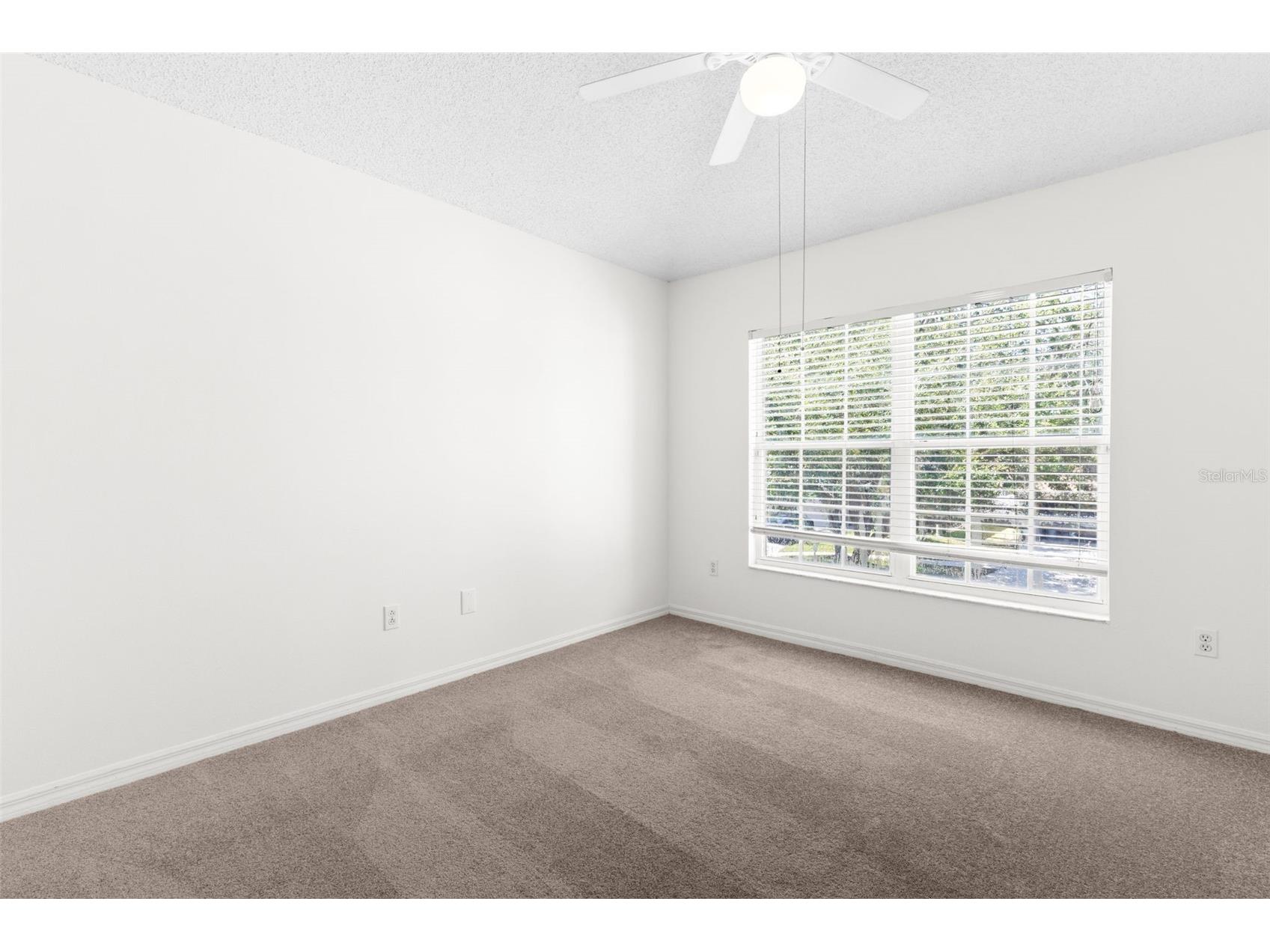 13439 White Elk Loop Tampa FL 33626 TB8524333 image23