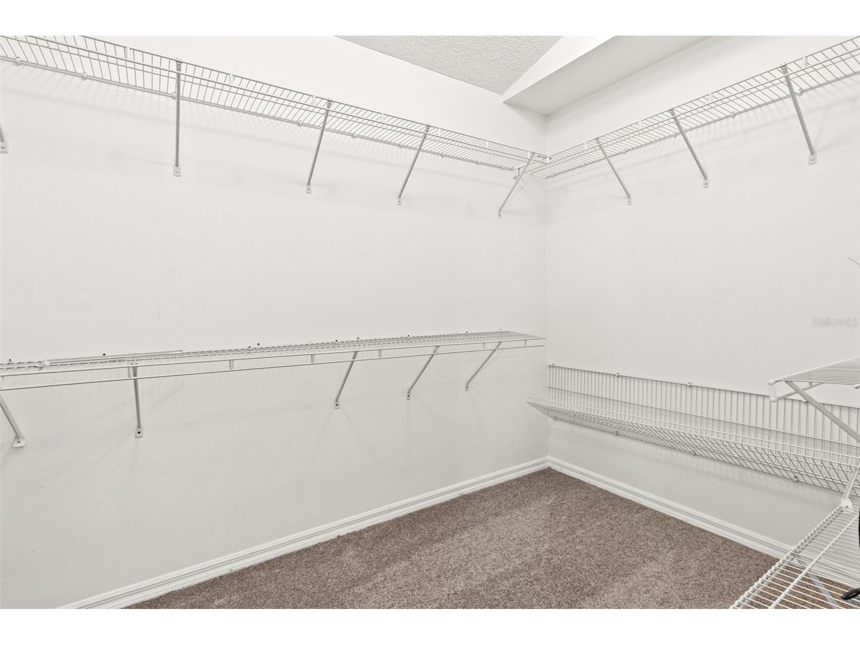 13439 White Elk Loop Tampa FL 33626 TB8524333 image29