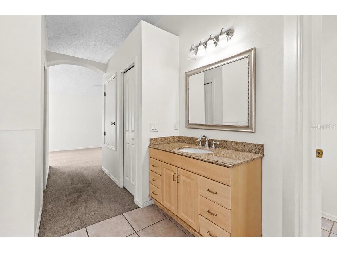 13439 White Elk Loop Tampa FL 33626 TB8524333 image31