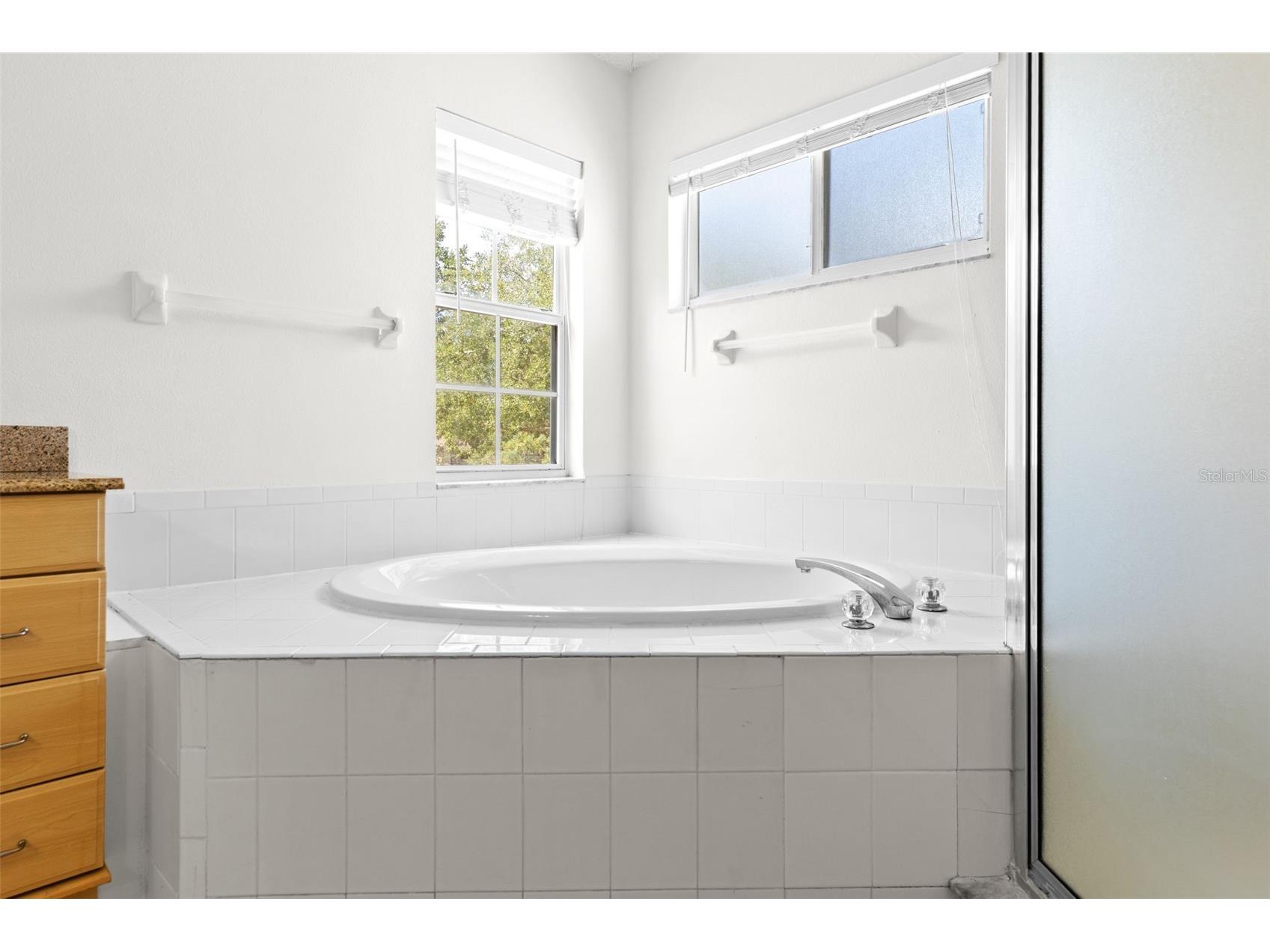 13439 White Elk Loop Tampa FL 33626 TB8524333 image34